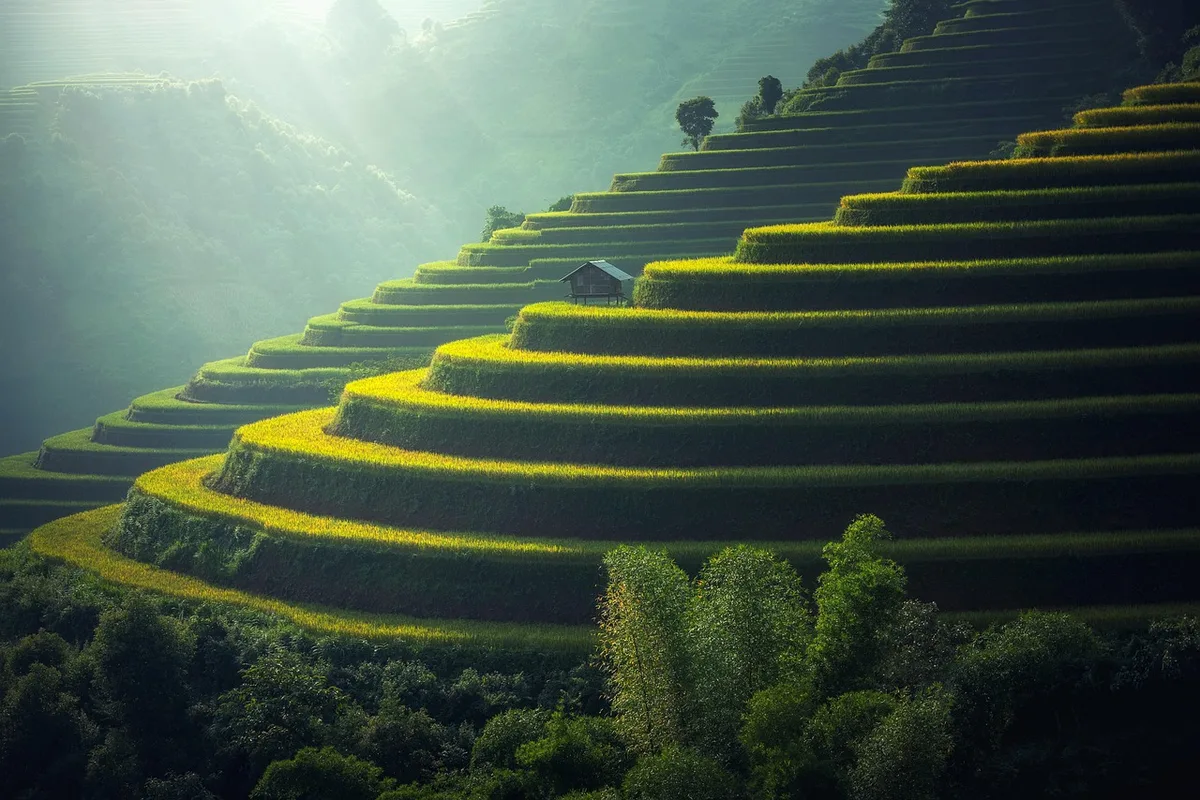 Thái Lan đặt mục tiêu xuất khẩu gạo 7 triệu tấn năm 2026, mở rộng thị trường châu Phi và Mỹ Latin