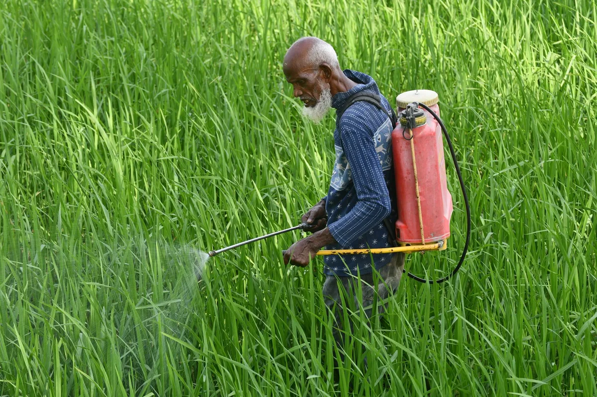 Thuốc trừ sâu trong cà phê: Báo cáo cảnh báo nguy cơ cho người lao động và người tiêu dùng