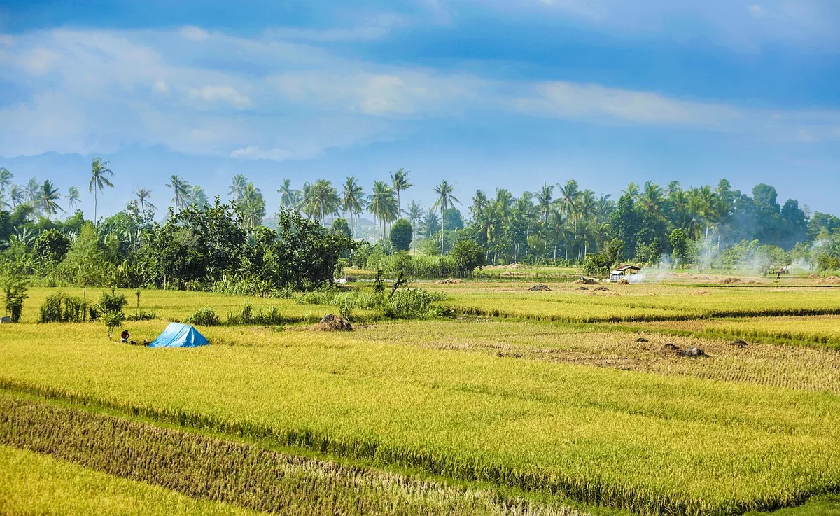 Việt Nam vượt Thái Lan, Indonesia, Malaysia, Singapore, Philippines trở thành cường quốc du lịch tăng trưởng nhanh nhất Đông Nam Á