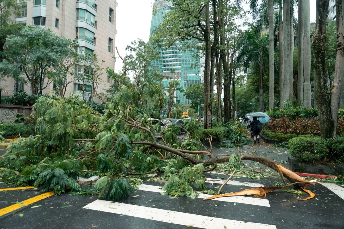 Bão Noul Trung Quốc: Suy yếu sau đổ bộ, hơn 800.000 người sơ tán