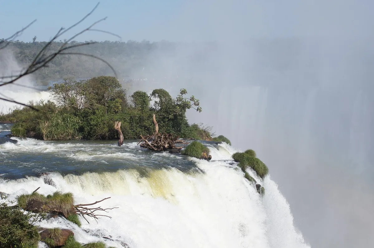 Brazil triệu hồi đại sứ Argentina sau khi Tổng thống Milei xúc phạm lãnh đạo Brazil