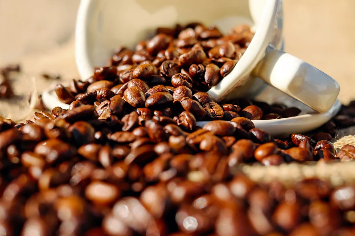 Giá cà phê thế giới: robusta và arabica đồng loạt tăng mạnh