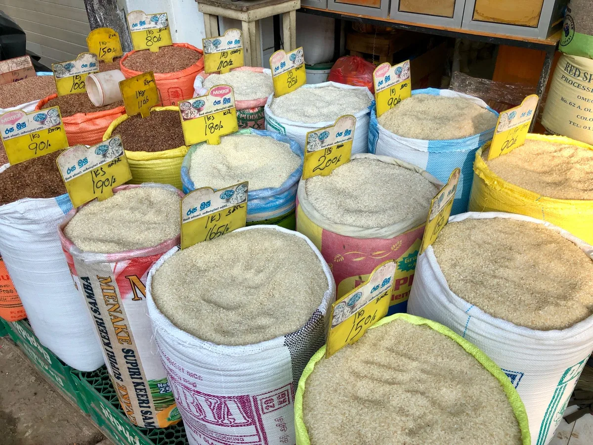 Giá gạo Ấn Độ hôm nay 30/07: tăng lên mức cao nhất 10 tháng