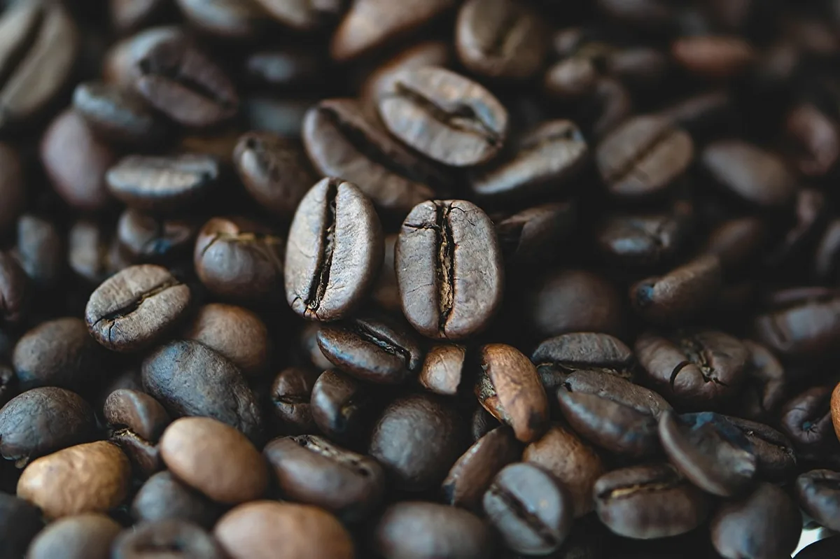 Starbucks cho phép đặt hàng qua ChatGPT: Cá nhân hóa đồ uống chỉ bằng một câu chat