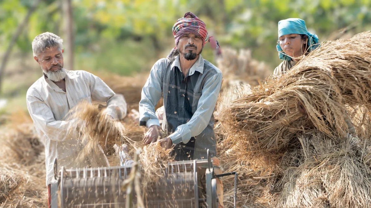 FAO kêu gọi phát triển nông nghiệp bền vững trong hệ thống lương thực toàn cầu