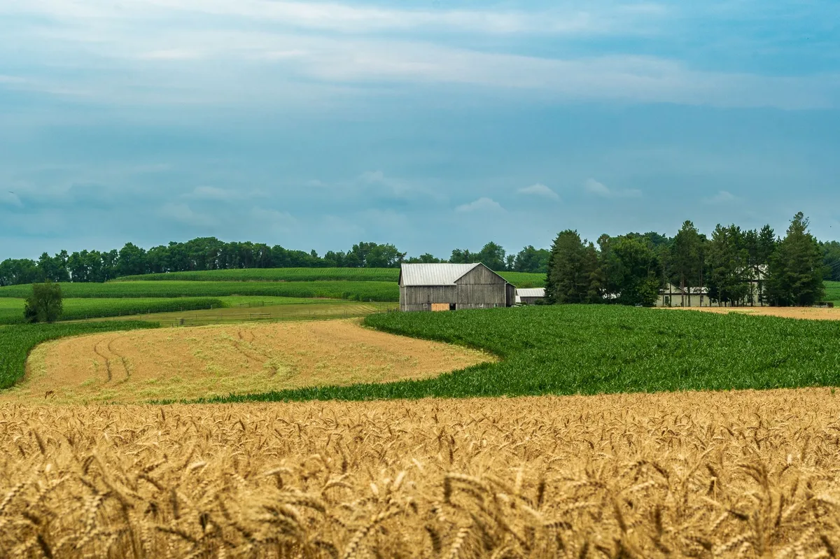 Farm bill Mỹ bị bác bỏ tại Thượng viện vì tranh cãi chia sẻ chi phí tem phiếu thực phẩm