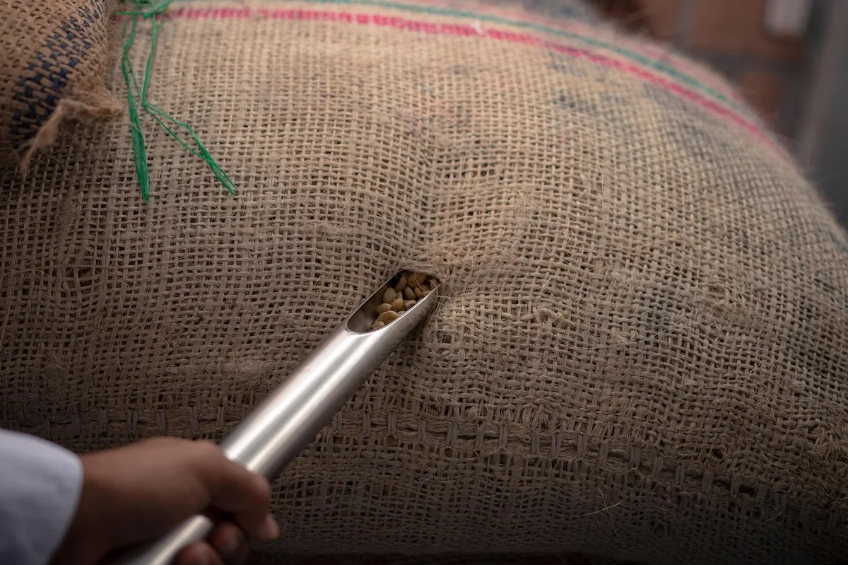 Giá cà phê Brazil 05/08: arabica tăng 10,48%, robusta tăng 2,90% trong tháng 7