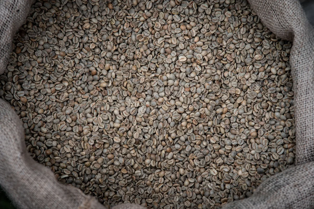 Giá cà phê sàn London hôm nay: bảng giá Robusta và quy đổi VNĐ/kg
