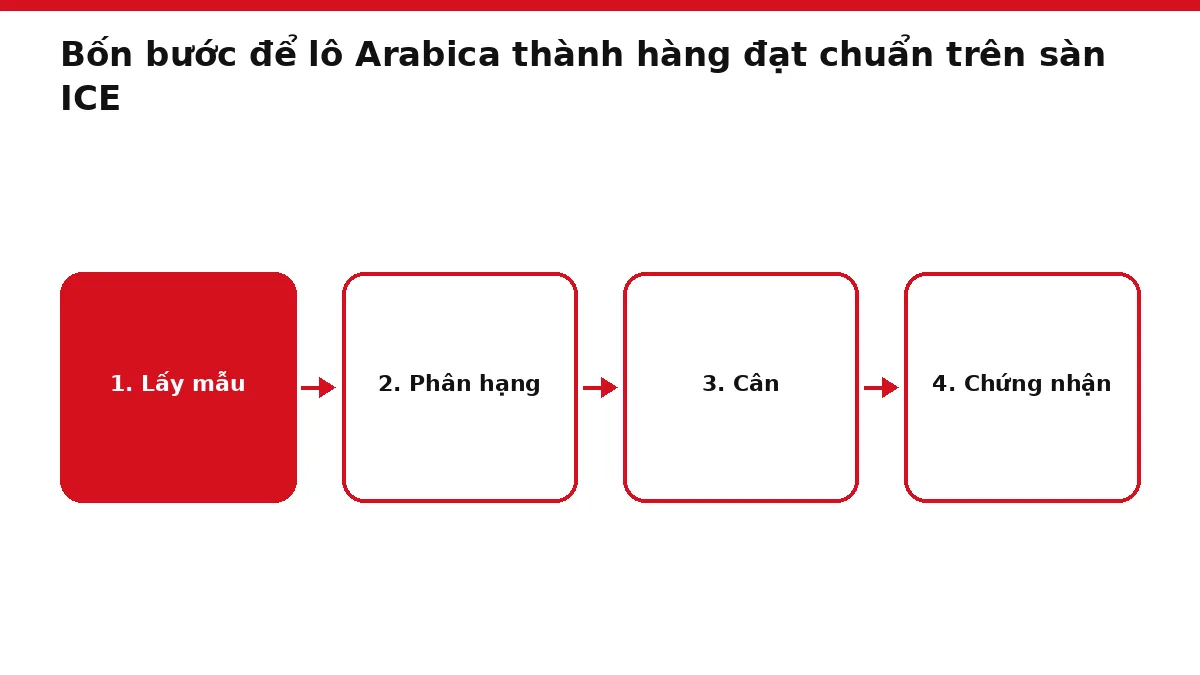 Sơ đồ bốn bước lấy mẫu, phân hạng, cân và chứng nhận một lô cà phê Arabica