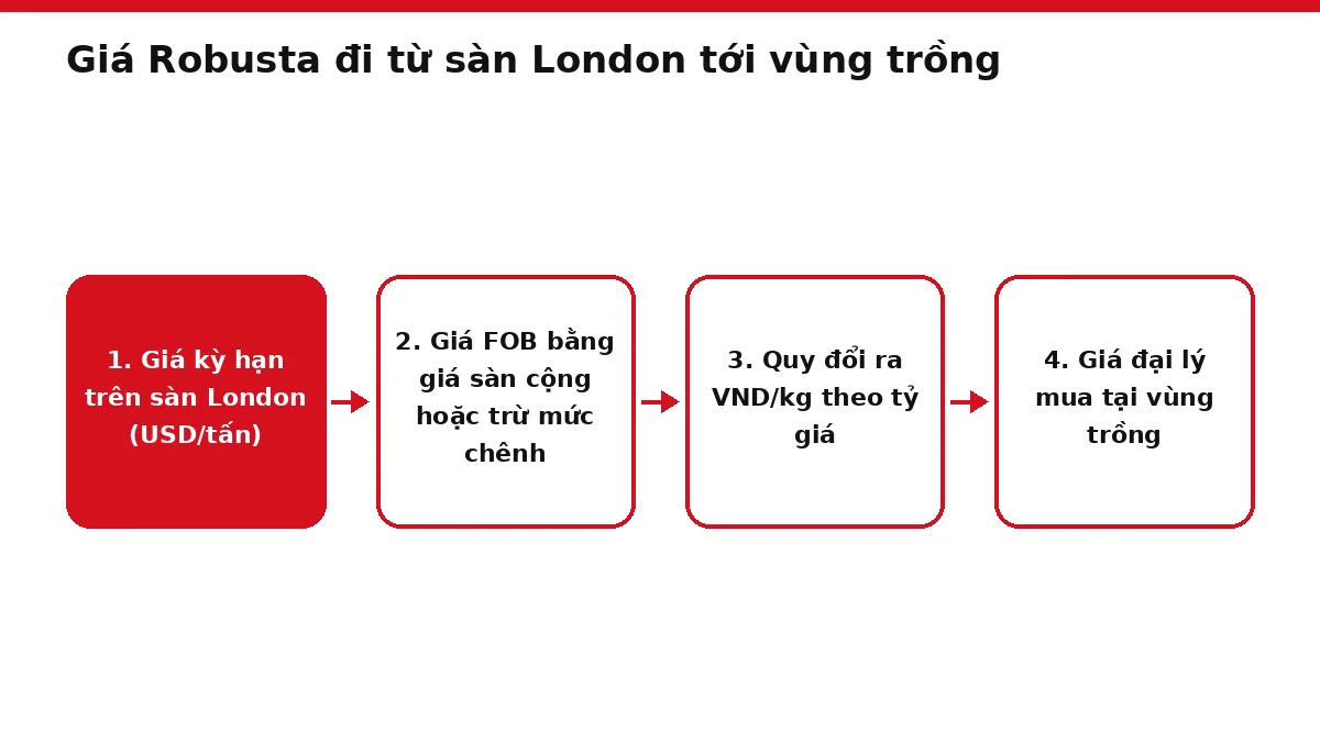 Sơ đồ bốn bước hình thành giá Robusta trong nước từ giá sàn London