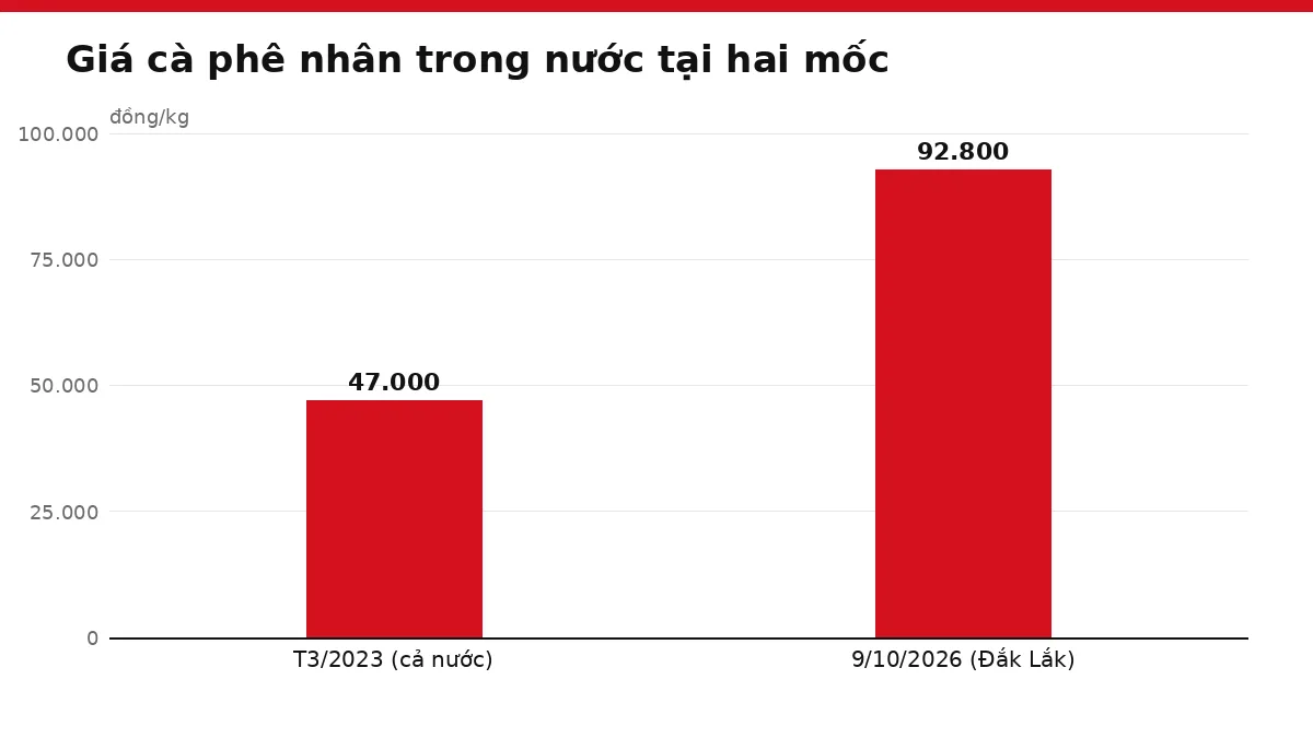 Biểu đồ cột so sánh giá cà phê nhân trong nước tháng 3/2023 và ngày 9/10/2026