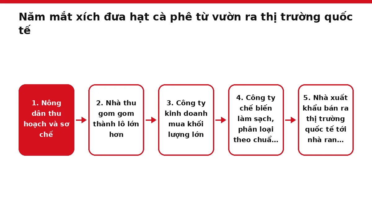 Sơ đồ năm bước của chuỗi thu mua cà phê từ nông dân tới nhà xuất khẩu và nhà rang xay