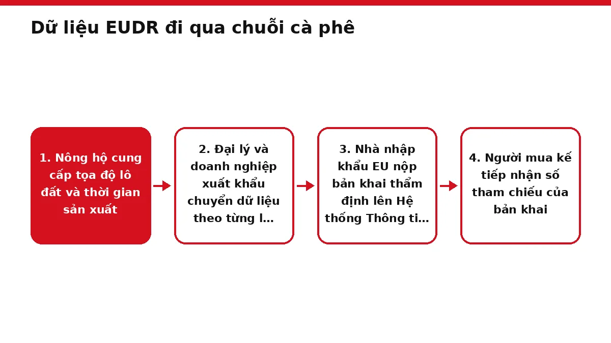 Sơ đồ bốn khâu chuyển dữ liệu truy xuất từ vườn cà phê tới nhà nhập khẩu EU