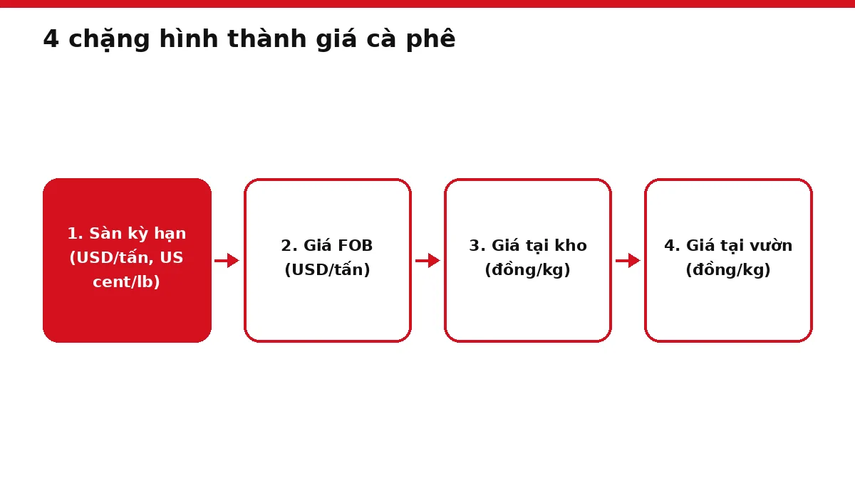 Sơ đồ 4 chặng giá cà phê đi từ sàn kỳ hạn qua giá FOB, giá tại kho tới giá tại vườn
