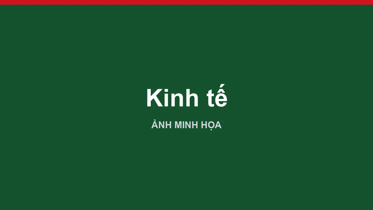 Sầu riêng xếp chồng trong thùng tại kho đóng gói chờ xuất khẩu