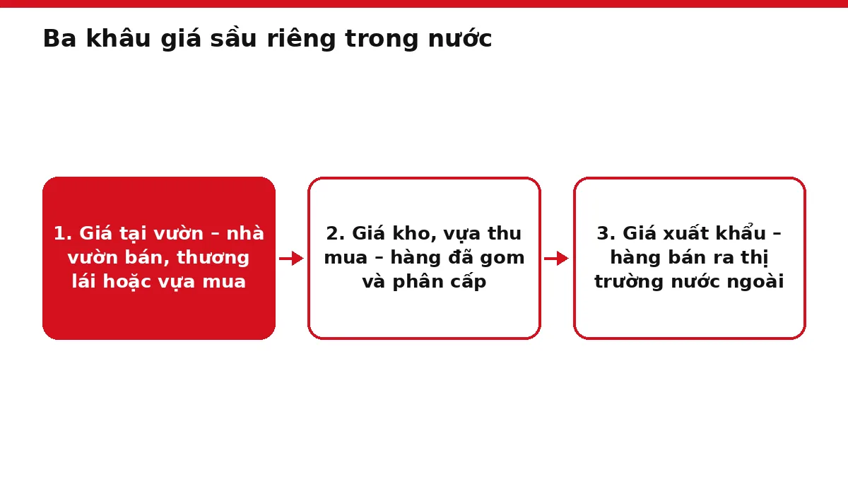 Sơ đồ ba bước từ giá tại vườn đến giá kho và giá xuất khẩu sầu riêng